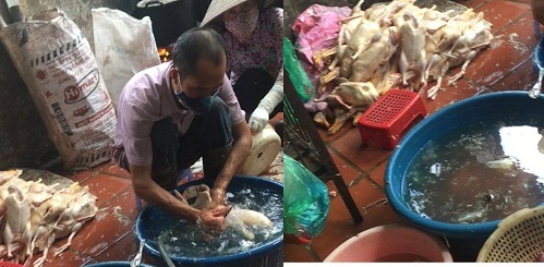 Hà Nội: Rùng mình ô nhiễm chợ Gia Quất?