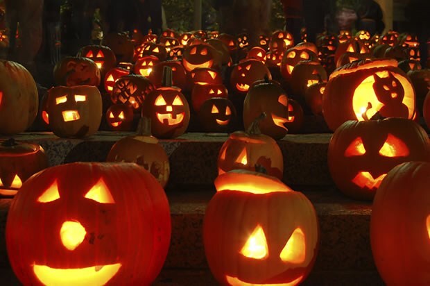 Cách trang trí đèn bí ngô đơn giản tại nhà cho đêm hội Halloween