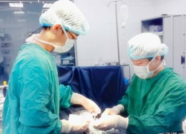 Cấp cứu thành công ca vừa chuyển dạ vừa bị tắc ruột