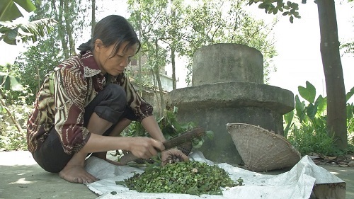Cuộc sống túng quẫn của những gia đình nghèo không tiền chữa bệnh