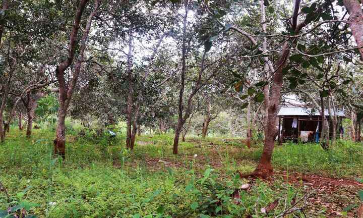 Vụ bắn chết 3 người: Lấy ý kiến dân để thành lập Ban tự quản