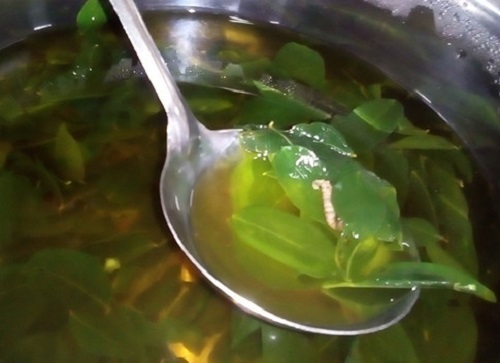 Cơm có dòi khiến hàng ngàn công nhân bỏ ăn