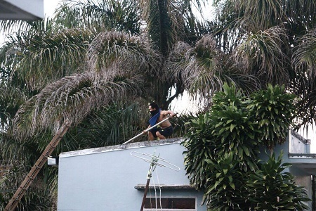 Nam thanh niên nghi ngáo đá cầm dao và gậy sắt cố thủ trên mái nhà