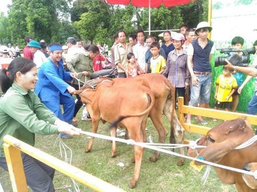 Biến cố đau thương của gia đình người dân tộc Thái ở Nghệ An