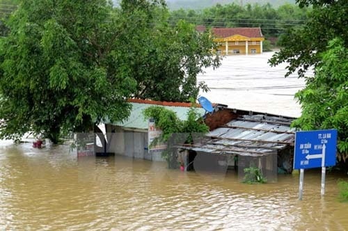 Đau thương - nông dân trắng tay sau lũ dữ