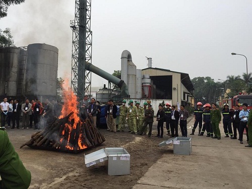 Cận cảnh thiêu sừng tê giác ở nhiệt độ 1500 độ C