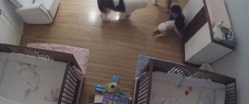 Mẹ bất cẩn khiến con trai 11 tháng tuổi rơi từ trên cao xuống và điều kì diệu