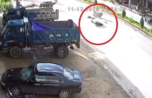 Tin tai nạn giao thông mới nhất ngày 18/11