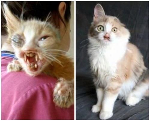 Ngạc nhiên xem quá trình 