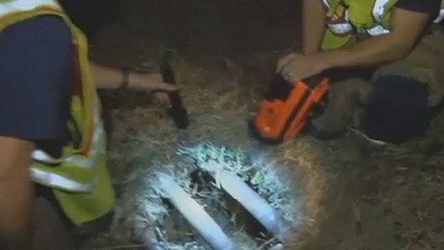 Bé sơ sinh sống sót kỳ diệu sau khi bị văng xuống cống