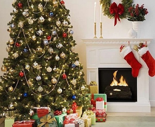 Bật mí về nguồn gốc cây thông Noel trong lễ Giáng Sinh