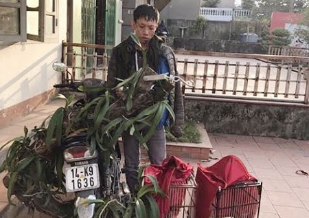 Tin tức pháp luật mới nhất ngày 6/12 - ĐS&PL Online