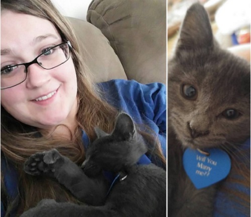 Chỉ với một chú mèo, chàng trai đã cầu hôn thành công bạn gái