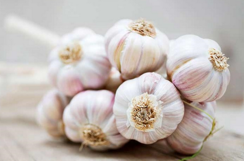 4 mẹo chữa ho bằng tỏi giúp bạn tránh xa thuốc kháng sinh