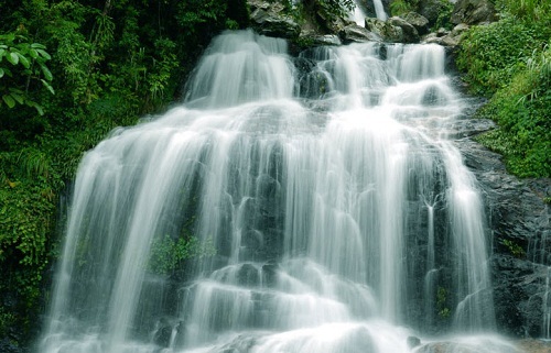 Gợi ý 3 địa điểm vui chơi Tam Đảo không nên bỏ qua