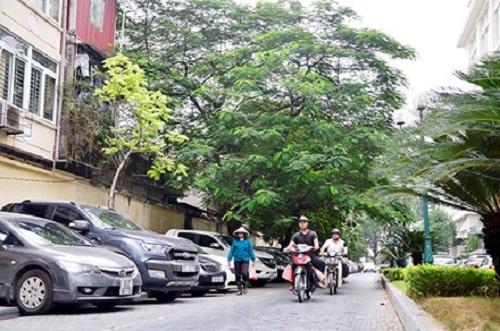 Hà Nội gắn tên phố kỷ niệm 70 năm toàn quốc kháng chiến