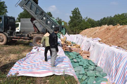 Quảng Bình tiêu hủy hơn 600 tấn hải sản chứa Cadimi vượt ngưỡng