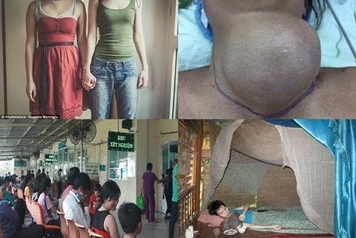 Điểm tin đời sống hot nhất ngày 15/12/2016