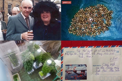 Điểm tin đời sống hot nhất ngày 16/12/2016