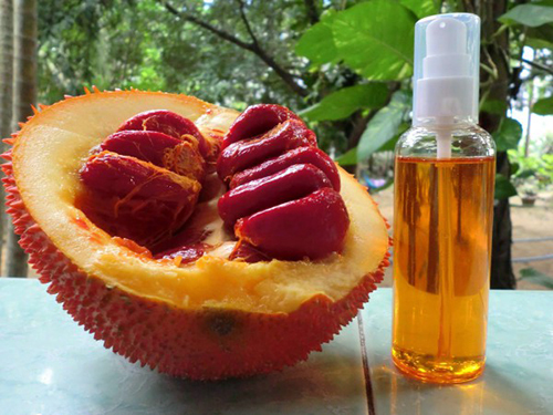 Cách dùng dầu gấc giúp giảm thân đen và trị mụn