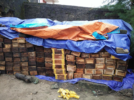 Hà Tĩnh: Gần 44 tấn sứa thối bị cơ quan chức năng phát hiện xử lý