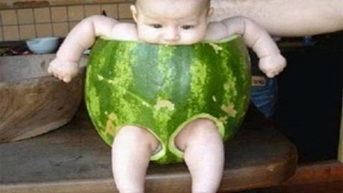 Hài hước với những tuyệt chiêu dùng khi nguy cấp cực khó đỡ