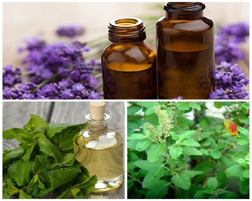 Giải quyết cơn đau nửa đầu với 3 nguyên liệu trong căn bếp của bạn