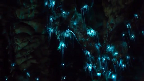 Hang động hàng trăm triệu năm phát ra ánh sáng xanh kì lạ đẹp mê hồn