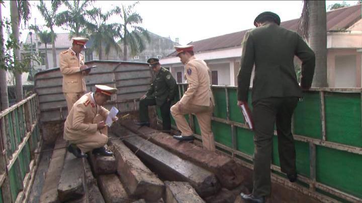 Bắt giữ xe ô tô vận chuyển hơn 5m3 gỗ lậu