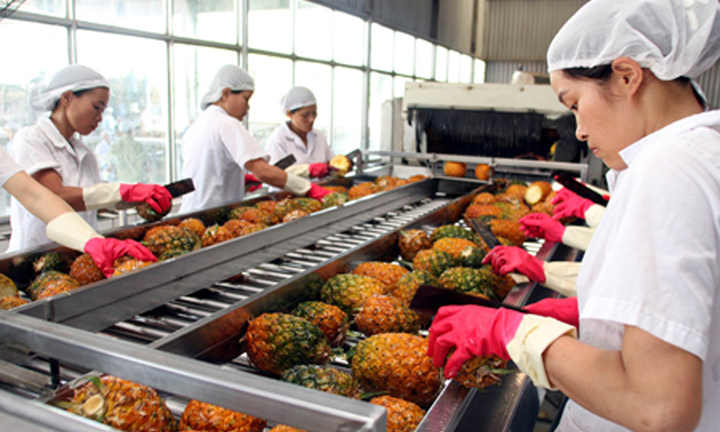 Xuất khẩu nông lâm thủy sản đạt mức “kỷ lục” 32,1 tỷ USD