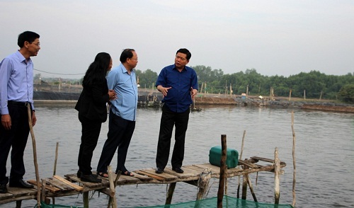 Bí thư Đinh La Thăng gợi ý cho mỗi hộ dân vay 400 triệu nuôi chim yến