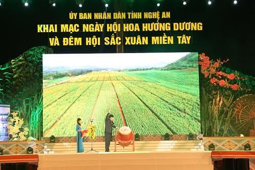 Tưng bừng Ngày hội hoa hướng dương và Đêm hội sắc xuân miền Tây ở Nghệ An