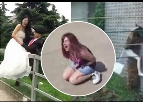 Video: Chết cười với những tai nạn khó đỡ khi các nàng tăng động