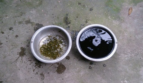 Bộ Y tế tiến hành lấy mẫu xét nghiệm ở 10