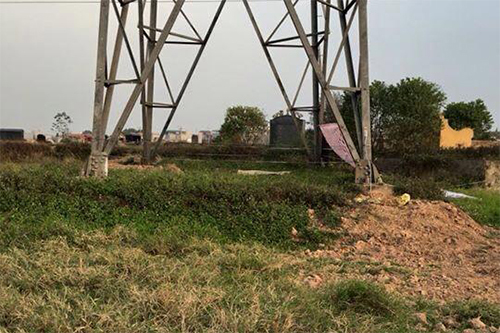 Nam thanh niên chết lõa thể ngoài đồng, trên người nhiều vết bầm tím