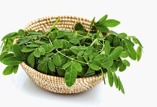 Mách mẹ 3 món ăn từ cây chùm ngây thơm ngon bổ dưỡng cho bé