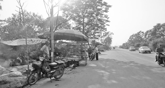 Thời xa vắng và những người mưu sinh ở phố chim trời Ngọc Mỹ