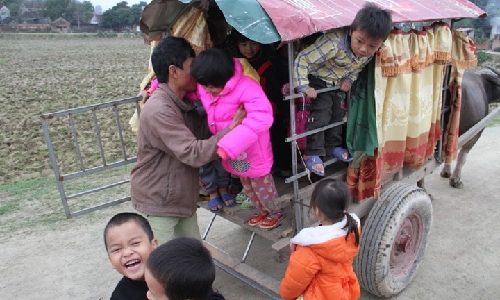 Người đàn ông tật nguyền chở học sinh miễn phí đến trường bằng xe trâu