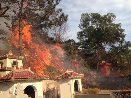 Cháy lớn thiêu rụi nhiều hecta rừng keo ở Quảng Ninh