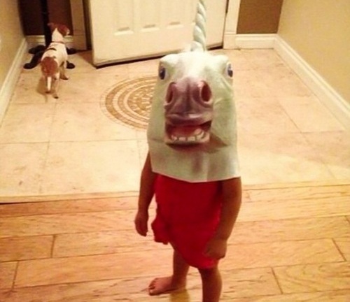 Chùm ảnh chứng minh nhà có trẻ em sẽ không bao giờ nhàm chán