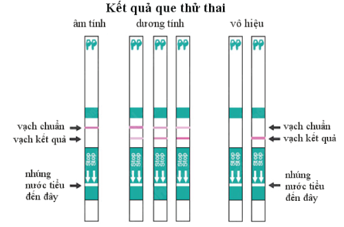 Mách bạn gái cách dùng que thử thai chính xác