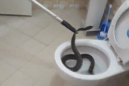 Cơn ác mộng mang tên 