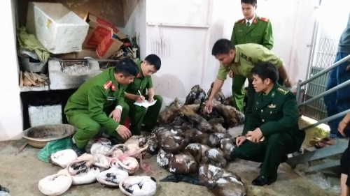 Bắt thêm khối lượng lớn động vật hoang dã tại tư gia đầu nậu