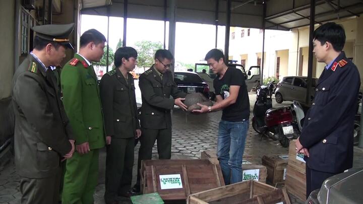 Bàn giao 14 cá thể tê tê và rùa cho Trung tâm cứu hộ vườn Quốc gia Cúc Phương