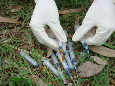 Tin tức pháp luật mới nhất ngày 14/1 - ĐS&PL Online