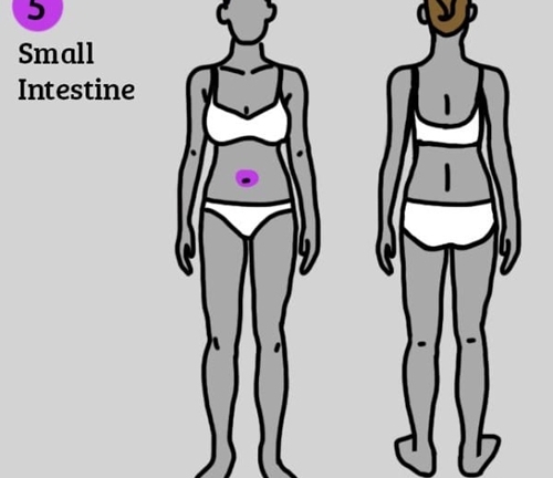 8 vị trí đau tố cáo các bệnh nguy hiểm mà bạn nên chú ý