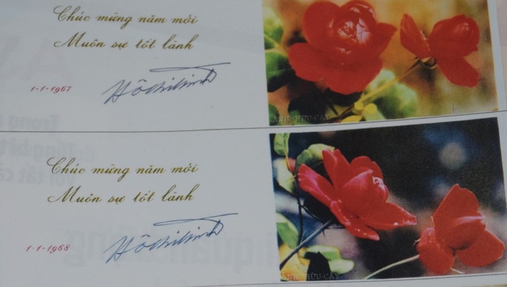 Điều đặc biệt ở tấm bưu thiếp hoa hồng chúc mừng năm mới của nhiếp ảnh gia già