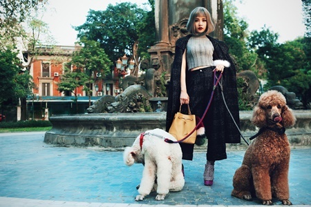 Chi Pu dắt cún cưng 1.000 USD dạo phố ngày xuân