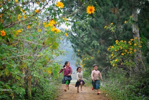 Tết của người Mông và chuyện ông Chủ tịch xã làm “bà mối se duyên”