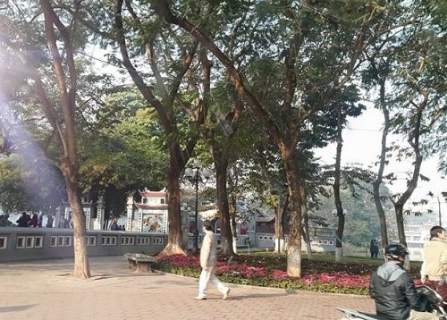 Dự báo thời tiết hôm nay 6/2: Cả nước nắng ấm